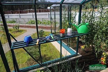 Полка Полка