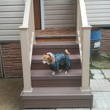 Ступень из ДПК 160x22х4000 мм Holzhof с тиснением "Кольца дерева" Ступень из ДПК 160x22х4000 мм Holzhof с тиснением "Кольца дерева"